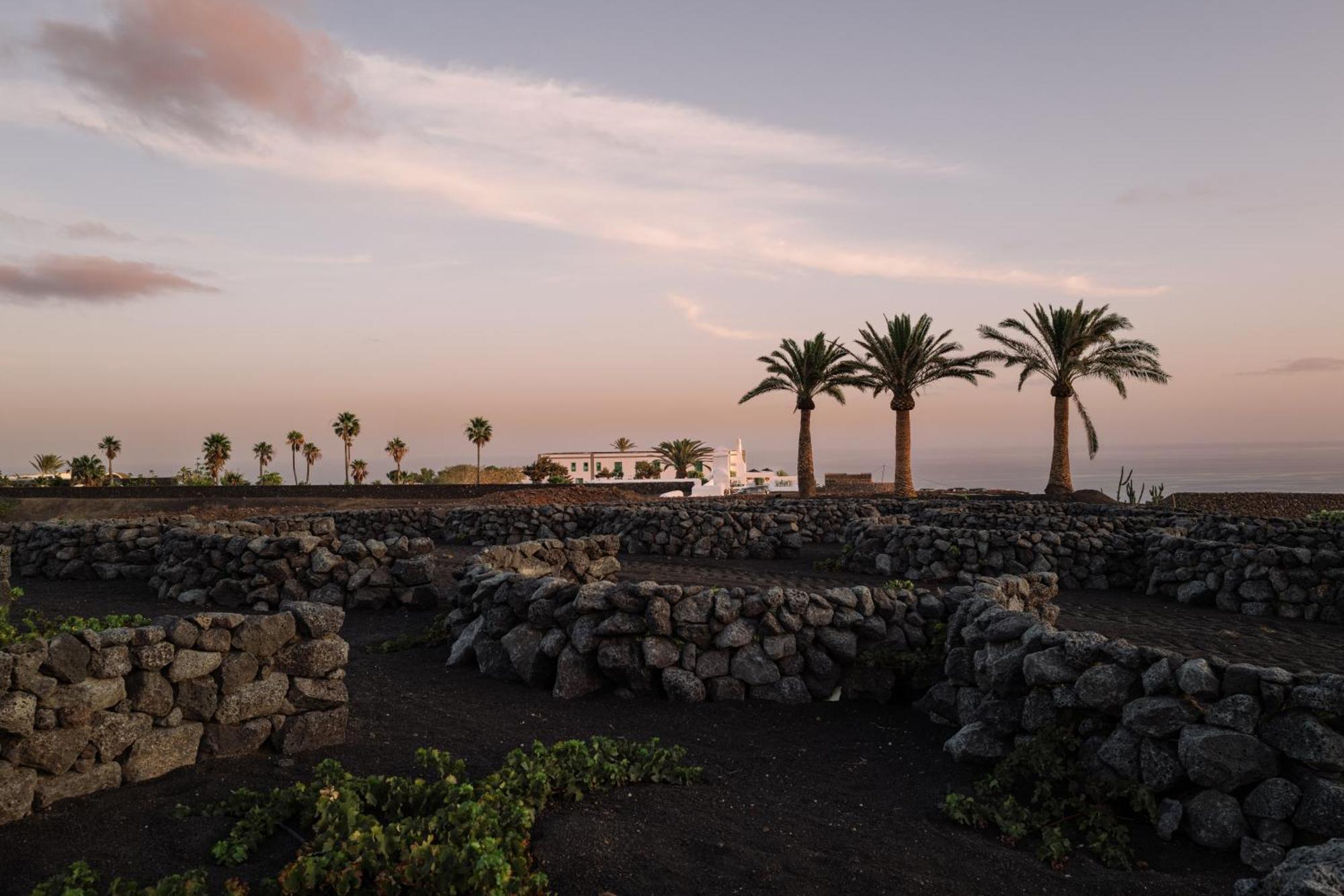 Cesar Lanzarote Luxury Boutique Hotel - Adults Only La Asomada  Esterno foto
