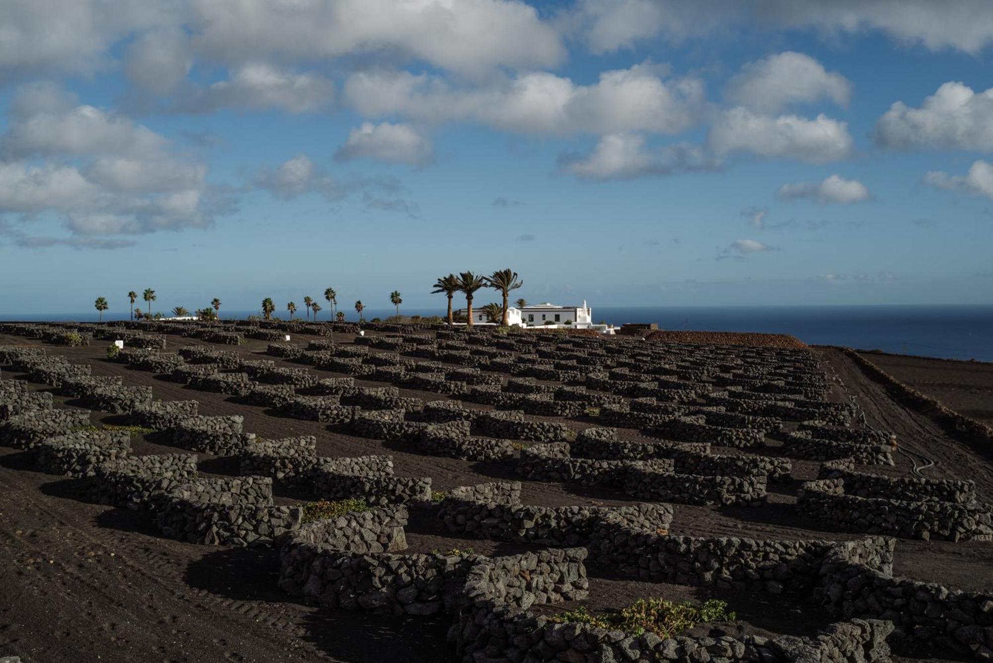 Cesar Lanzarote Luxury Boutique Hotel - Adults Only La Asomada  Esterno foto